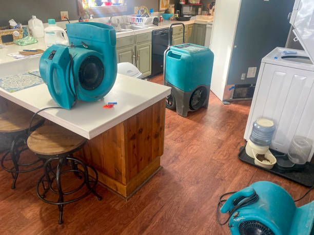 Best Local water damage restoration  in Mission, OR