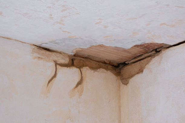 Best Carpet water damage restoration  in Mission, OR