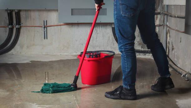 Best Carpet water damage restoration  in Mission, OR